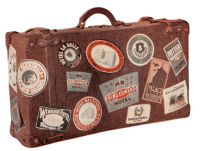 Traveling this summer?